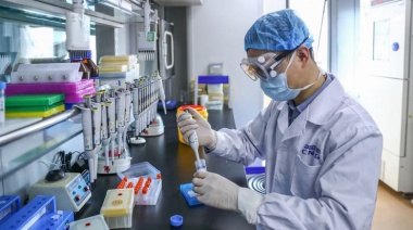 Ni laboratorio ni sopa de murciélagos, entonces... ¿cómo se originó el coronavirus?