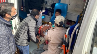 Un niño estuvo perdido por 19 horas y sobrevivió junto a sus perros