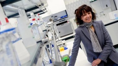 Qué es CRISPR, la técnica de edición genética que ganó el Premio Nobel de Química 2020