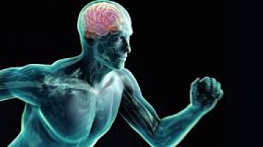 Cinco beneficios que aporta el ejercicio al llevar al cerebro al máximo de sus capacidades