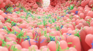 Microbiota intestinal: destacan el fuerte vínculo con la dieta y su impacto en la salud