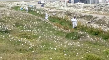 Operativos de saneamiento en distintos puntos neurálgicos y espacios públicos de la ciudad.