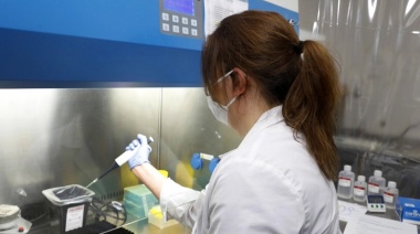 Cómo será la vacuna argentina contra el coronavirus