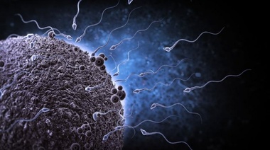 "El efecto de los químicos en nuestro sistema reproductivo amenaza la supervivencia humana"