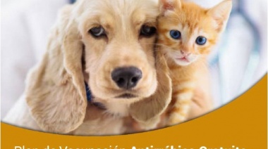 Plan gratuito de vacunación antirrábica para perros y gatos