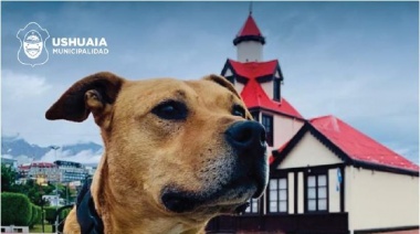 Zoonosis mas cerca: Este jueves en Barrio Bahía Golondrina