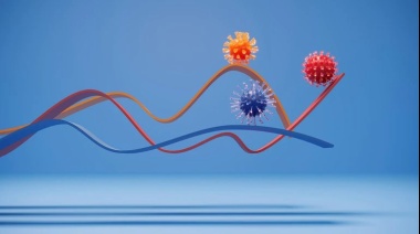 Cómo es la nueva y peligrosa variante del coronavirus hallada en Botsuana