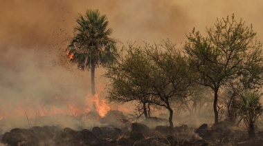 Incendios en Corrientes: Reciben ayuda de otras provincias y cada vez más gente se autoevacúa