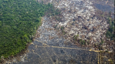 Hermanitos de 6 y 8 años sobrevivieron 26 días perdidos en el Amazonas