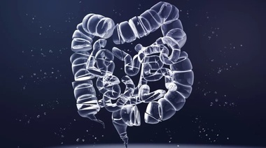 Una guía sobre los estudios para prevenir el cáncer de colon, el segundo más frecuente en Argentina