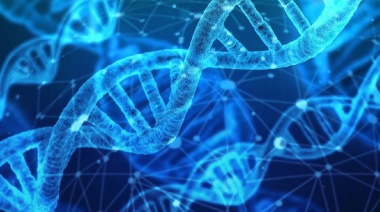 Un equipo científico internacional decodificó el genoma humano completo