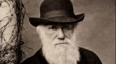 La misteriosa reaparición de dos cuadernos de Darwin fundamendales para su teoría de la evolución robados hace 22 años