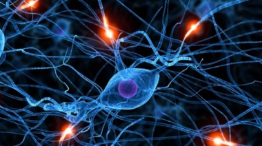 Dopamina, el neurotransmisor que nos da la felicidad, pero también nos la quita