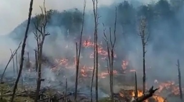 Las llamas en Tierra del Fuego abarcan “9.000 hectáreas”