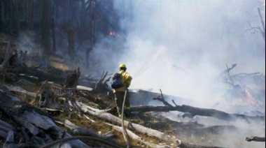 Incendio en Corazón de la Isla: Estado de situación