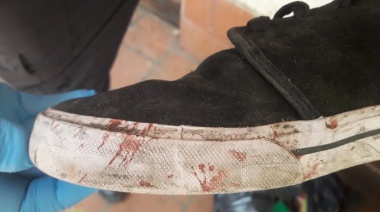 El juicio a los rugbiers: Encontraron la sangre de Báez Sosa en 17 prendas de los acusados
