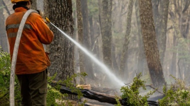 Se reactivó el incendio forestal en el Corazón de la Isla