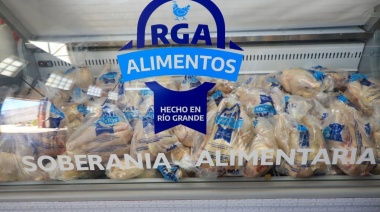 Rumbo al autoabastecimiento: "RGA Alimentos" ya faenó mas de 25 mil pollos