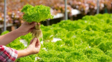 "Soberanía alimentaria": Valor agregado y empleos verdes locales
