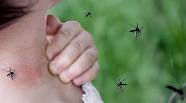Argentina “vive el mayor brote de dengue”, superior al de 2016 y 2020