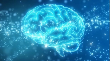 La misteriosa "zona incierta" del cerebro