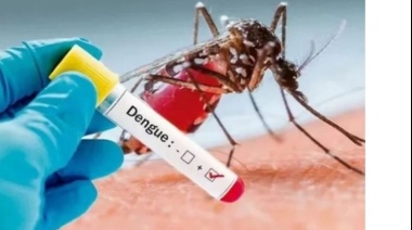 Detectan en Tierra del Fuego 7 casos de Dengue