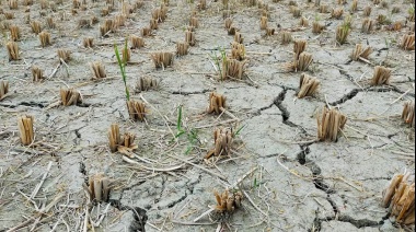 Un nuevo fenómeno El Niño ya empezó: por qué este año es más preocupante y cómo puede impactar en América del Sur