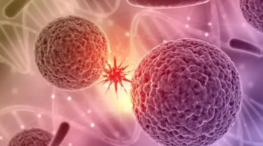 Cómo funciona el algoritmo de IA diseñado por Harvard que puede predecir cáncer de páncreas hasta 3 años antes de los síntomas