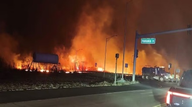 Desesperación en Hawai por los incendios forestales en una isla paradisíaca: la gente se lanza al océano para huir