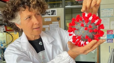 Ana Franchi, presidenta del Conicet: “Pensar que la inversión en ciencia es un gasto es un error que pone en riesgo al país”