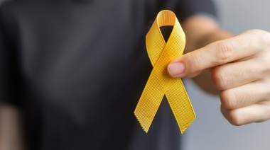La Asociación de Psiquiatras de Argentina y Profesionales de la Salud Mental Municipal, dictarán el Curso de Formadores en Prevención del Suicidio