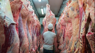 La Argentina logra un nuevo récord de embarques de carne vacuna, se queda con 8% del mercado mundial y se consolida como quinta exportadora