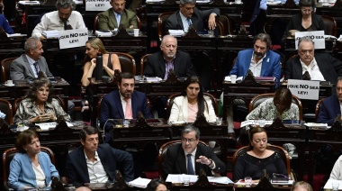 Ley Ómnibus: Cómo sigue el trámite parlamentario tras la aprobación en general en Diputados