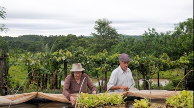 Cierran dos organismos de Agricultura Familiar: Despedirán a 900 empleados