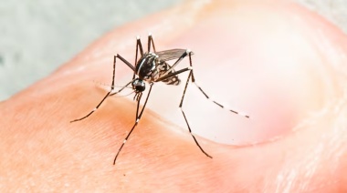 ¿Qué secuelas deja el dengue?