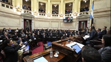 Tras las modificaciones introducidas en el Senado, la Ley Bases vuelve a Diputados