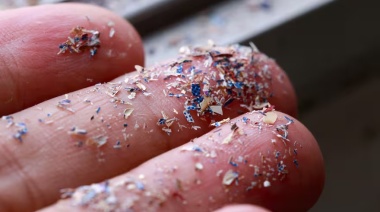 El órgano del cuerpo humano donde más se acumulan los microplásticos