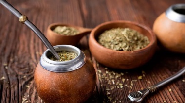 Científicos del Conicet descubren que el mate puede ayudar a combatir el Parkinson