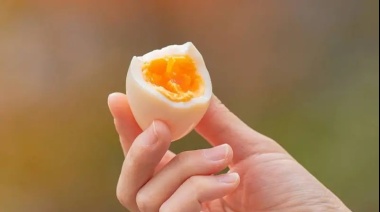Colina: el nutriente que es vital para nuestro cerebro y en qué alimentos se encuentra
