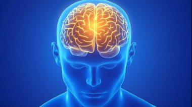 Cómo potenciar el rendimiento del cerebro y los 5 enemigos a evitar