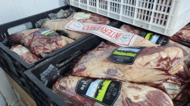 El Municipio incautó 900 kilos de carne