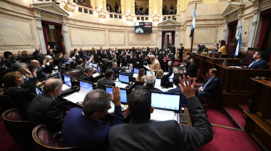 El Senado rechazó varios vetos de Milei y aprobó financiamiento para el Garrahan y universidades