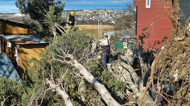 En cinco horas, la Municipalidad realizó más de 60 intervenciones por el temporal de viento