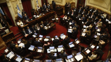 El Senado rechazó los vetos al financiamiento del Garrahan y las universidades