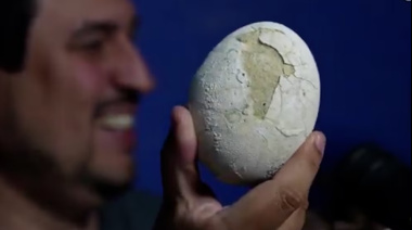 Expedición Cretácica: encuentran, en la Patagonia, el huevo de dinosaurio mejor conservado del mundo en la Patagonia