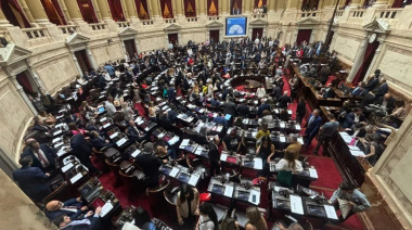 Diputados: exigen explicaciones al Gobierno por el aumento en la tasa de suicidios