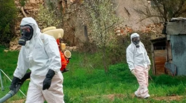 Uno por uno: los cinco lugares de Ushuaia donde buscarán el origen del brote de hantavirus en un crucero