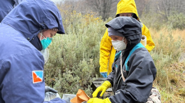 Hallazgo de la misión del Malbrán que investiga el hantavirus del crucero en Tierra del Fuego