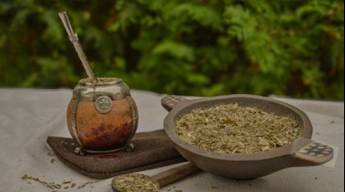 Una investigación de la UBA aporta indicios de cómo el mate podría retrasar el Parkinson