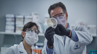 El comunicado de la Academia de Ciencias tras los despidos en la CNEA y la crisis del CONICET
